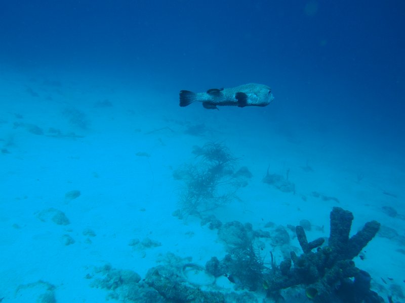 2015-03-24 16-58-13.JPG